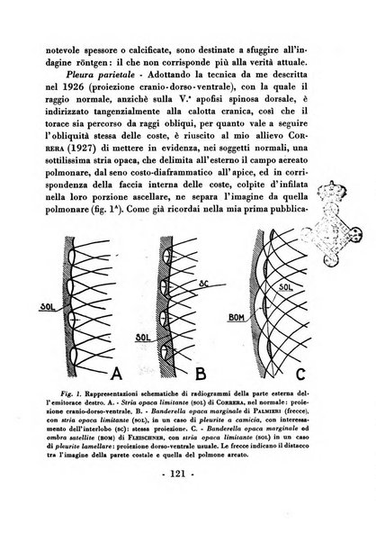 Nuntius radiologicus scripta ad rem pertinentia recenset