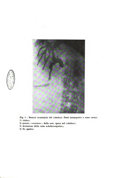 Nuntius radiologicus scripta ad rem pertinentia recenset