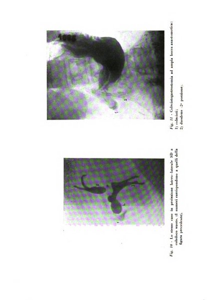 Nuntius radiologicus scripta ad rem pertinentia recenset