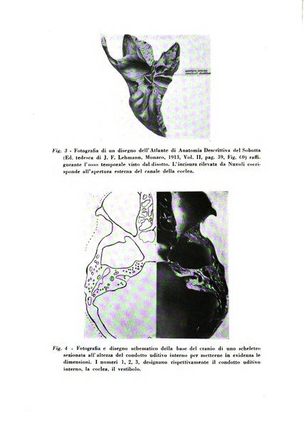 Nuntius radiologicus scripta ad rem pertinentia recenset