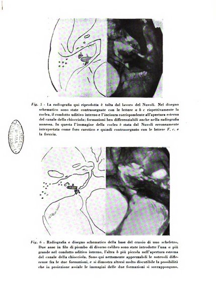 Nuntius radiologicus scripta ad rem pertinentia recenset