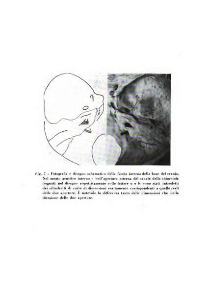 Nuntius radiologicus scripta ad rem pertinentia recenset