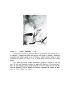 giornale/CFI0359778/1938/unico/00000147