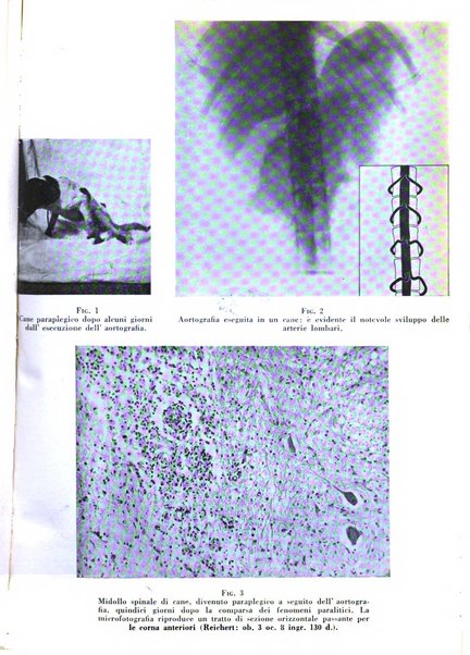 Nuntius radiologicus scripta ad rem pertinentia recenset