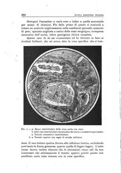 Nuova medicina italica rivista di medicina, scienze affini e problemi professionali