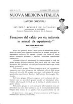 giornale/CFI0359888/1929/unico/00000695