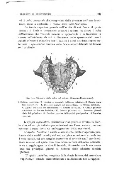 Nuova medicina italica rivista di medicina, scienze affini e problemi professionali