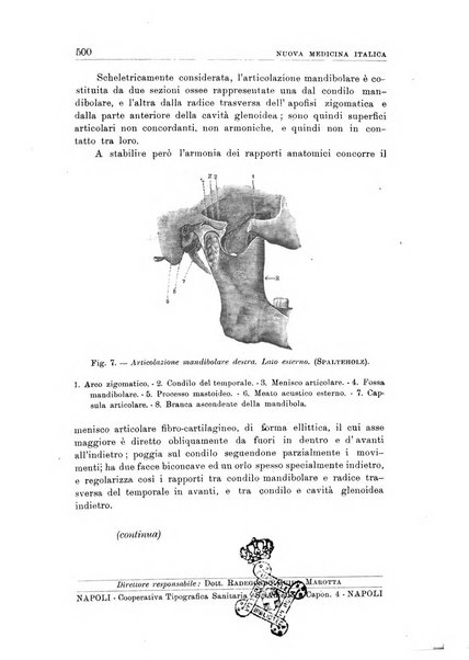 Nuova medicina italica rivista di medicina, scienze affini e problemi professionali