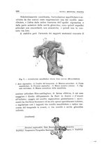 giornale/CFI0359888/1930/unico/00000524