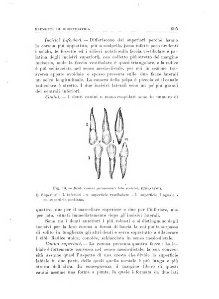 Nuova medicina italica rivista di medicina, scienze affini e problemi professionali