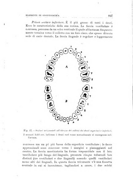 Nuova medicina italica rivista di medicina, scienze affini e problemi professionali