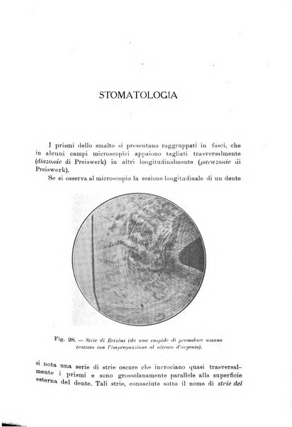 Nuova medicina italica rivista di medicina, scienze affini e problemi professionali