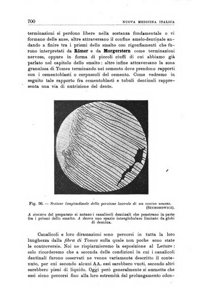 Nuova medicina italica rivista di medicina, scienze affini e problemi professionali