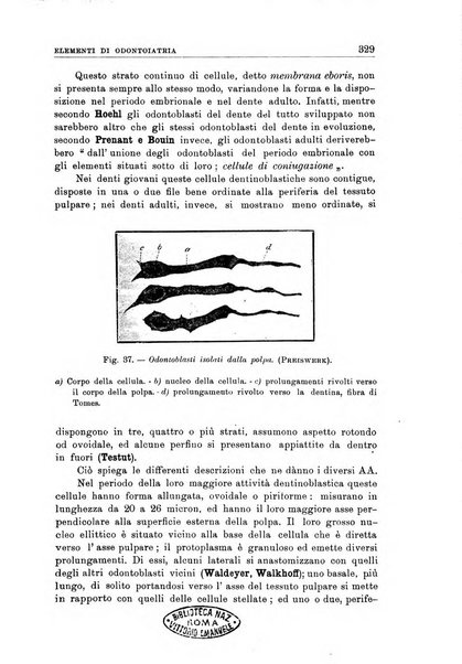 Nuova medicina italica rivista di medicina, scienze affini e problemi professionali