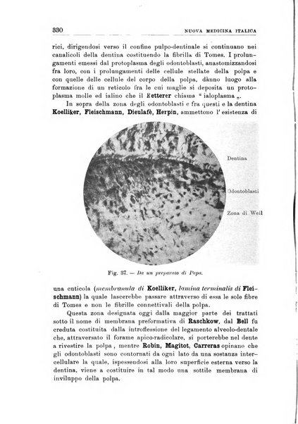 Nuova medicina italica rivista di medicina, scienze affini e problemi professionali