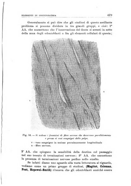 Nuova medicina italica rivista di medicina, scienze affini e problemi professionali