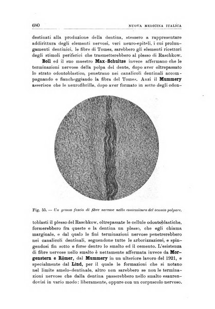 Nuova medicina italica rivista di medicina, scienze affini e problemi professionali