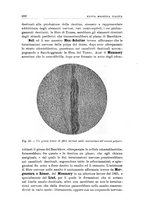 giornale/CFI0359888/1932/unico/00000722