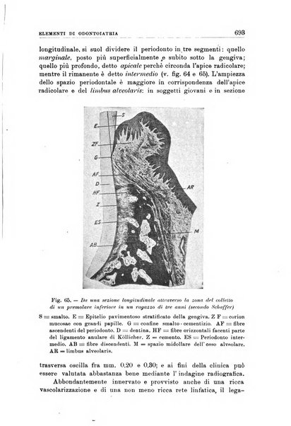 Nuova medicina italica rivista di medicina, scienze affini e problemi professionali