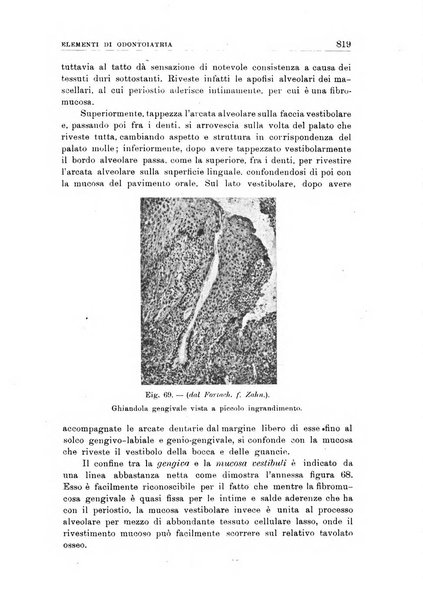 Nuova medicina italica rivista di medicina, scienze affini e problemi professionali