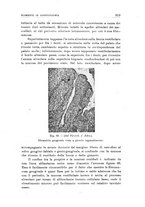 giornale/CFI0359888/1932/unico/00000873