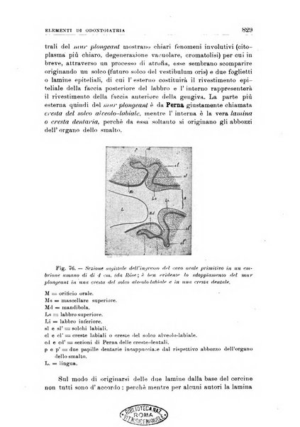 Nuova medicina italica rivista di medicina, scienze affini e problemi professionali