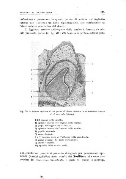 Nuova medicina italica rivista di medicina, scienze affini e problemi professionali