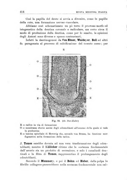 Nuova medicina italica rivista di medicina, scienze affini e problemi professionali