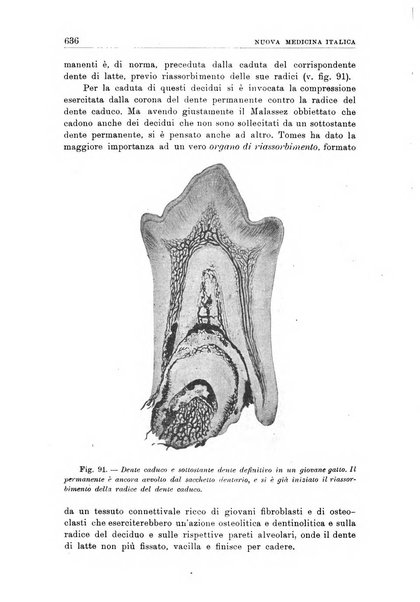 Nuova medicina italica rivista di medicina, scienze affini e problemi professionali