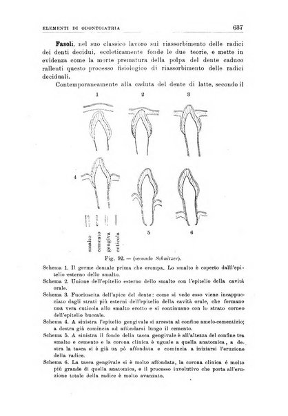 Nuova medicina italica rivista di medicina, scienze affini e problemi professionali