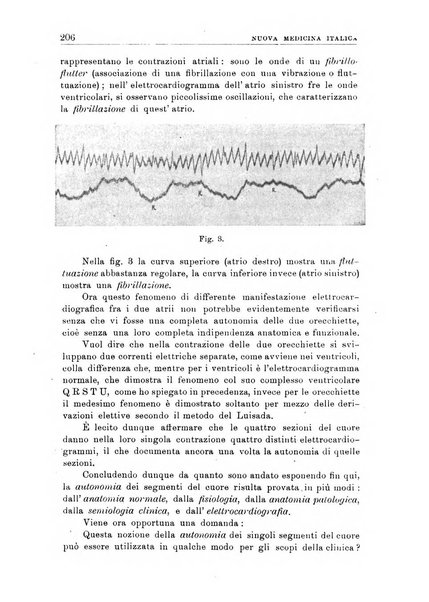 Nuova medicina italica rivista di medicina, scienze affini e problemi professionali