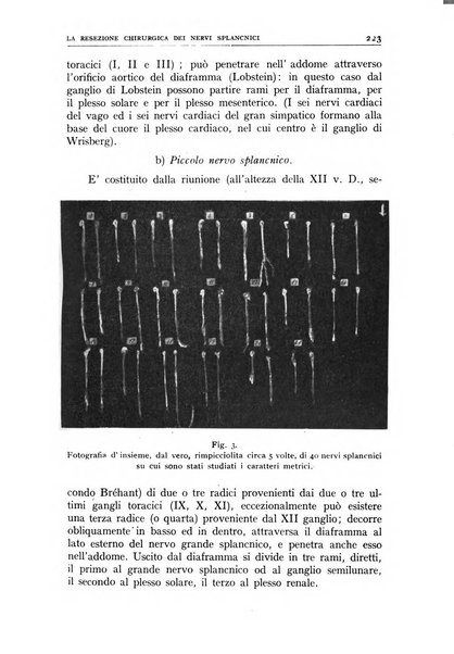 Nuova medicina italica rivista di medicina, scienze affini e problemi professionali