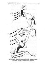 giornale/CFI0359888/1939/unico/00000243