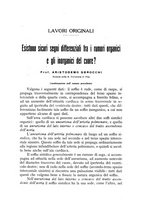 giornale/CFI0359888/1941/unico/00000381