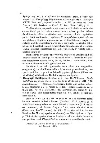 La nuova Notarisia rassegna trimestrale consacrata allo studio delle alghe