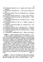 giornale/CFI0359894/1890-1892/unico/00000123