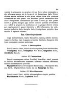 giornale/CFI0359894/1890-1892/unico/00000447