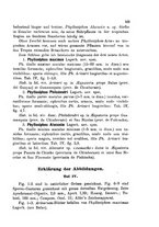 giornale/CFI0359894/1890-1892/unico/00000663