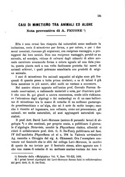 La nuova Notarisia rassegna trimestrale consacrata allo studio delle alghe