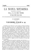 giornale/CFI0359894/1896-1898/unico/00000095