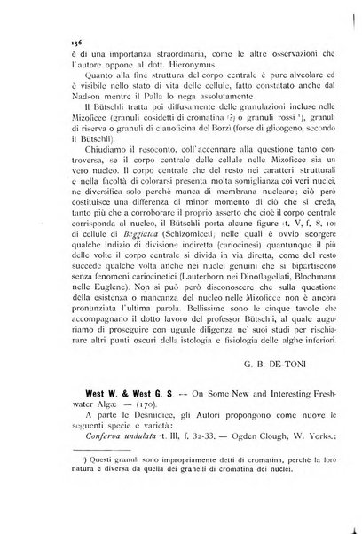 La nuova Notarisia rassegna trimestrale consacrata allo studio delle alghe