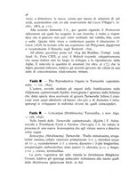 giornale/CFI0359894/1896-1898/unico/00000224