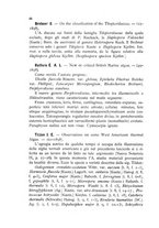 giornale/CFI0359894/1896-1898/unico/00000444