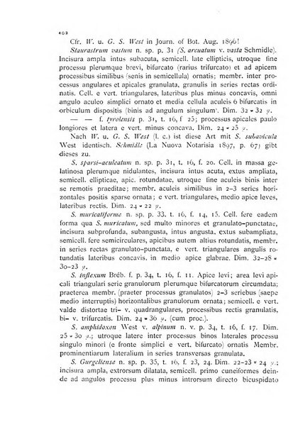 La nuova Notarisia rassegna trimestrale consacrata allo studio delle alghe