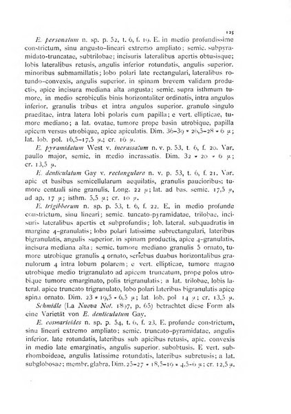 La nuova Notarisia rassegna trimestrale consacrata allo studio delle alghe