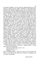 giornale/CFI0359894/1899-1901/unico/00000049