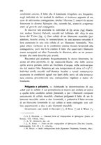 giornale/CFI0359894/1899-1901/unico/00000552