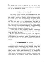 giornale/CFI0359894/1902-1904/unico/00000044