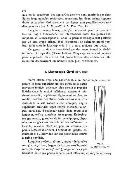 La nuova Notarisia rassegna trimestrale consacrata allo studio delle alghe