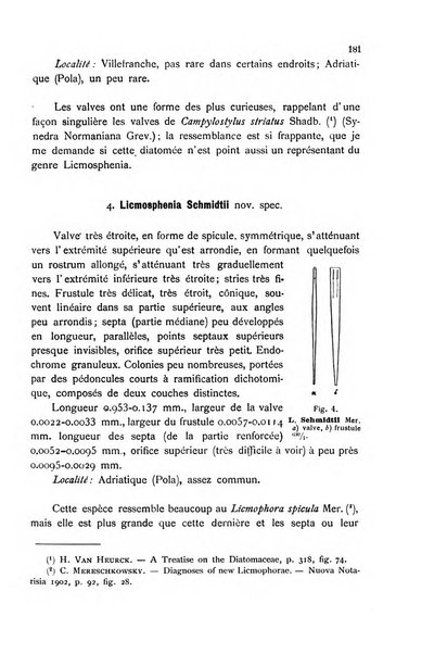 La nuova Notarisia rassegna trimestrale consacrata allo studio delle alghe